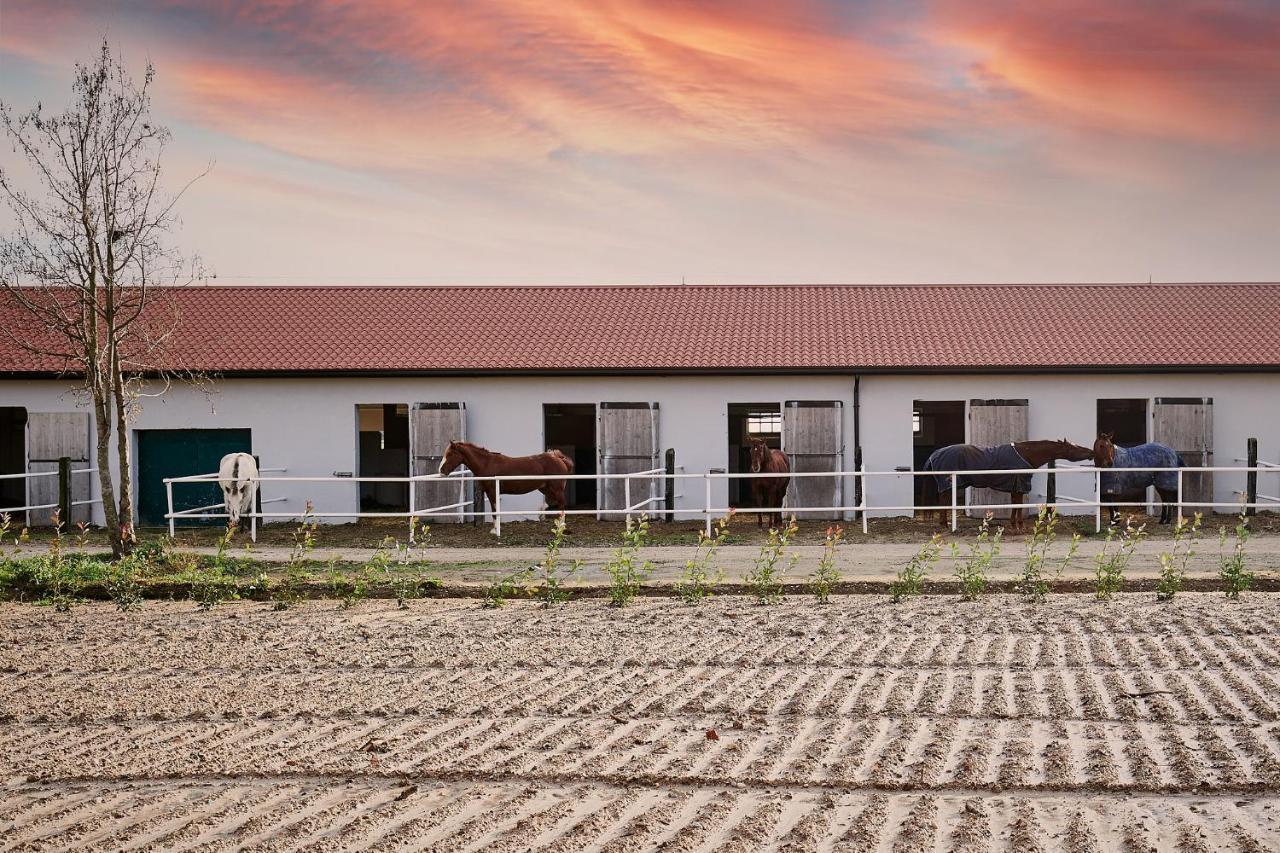 Brussa Horse Oasi Villa Caorle Exterior foto
