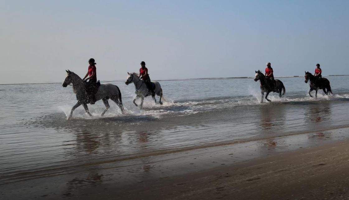 Brussa Horse Oasi Villa Caorle Exterior foto