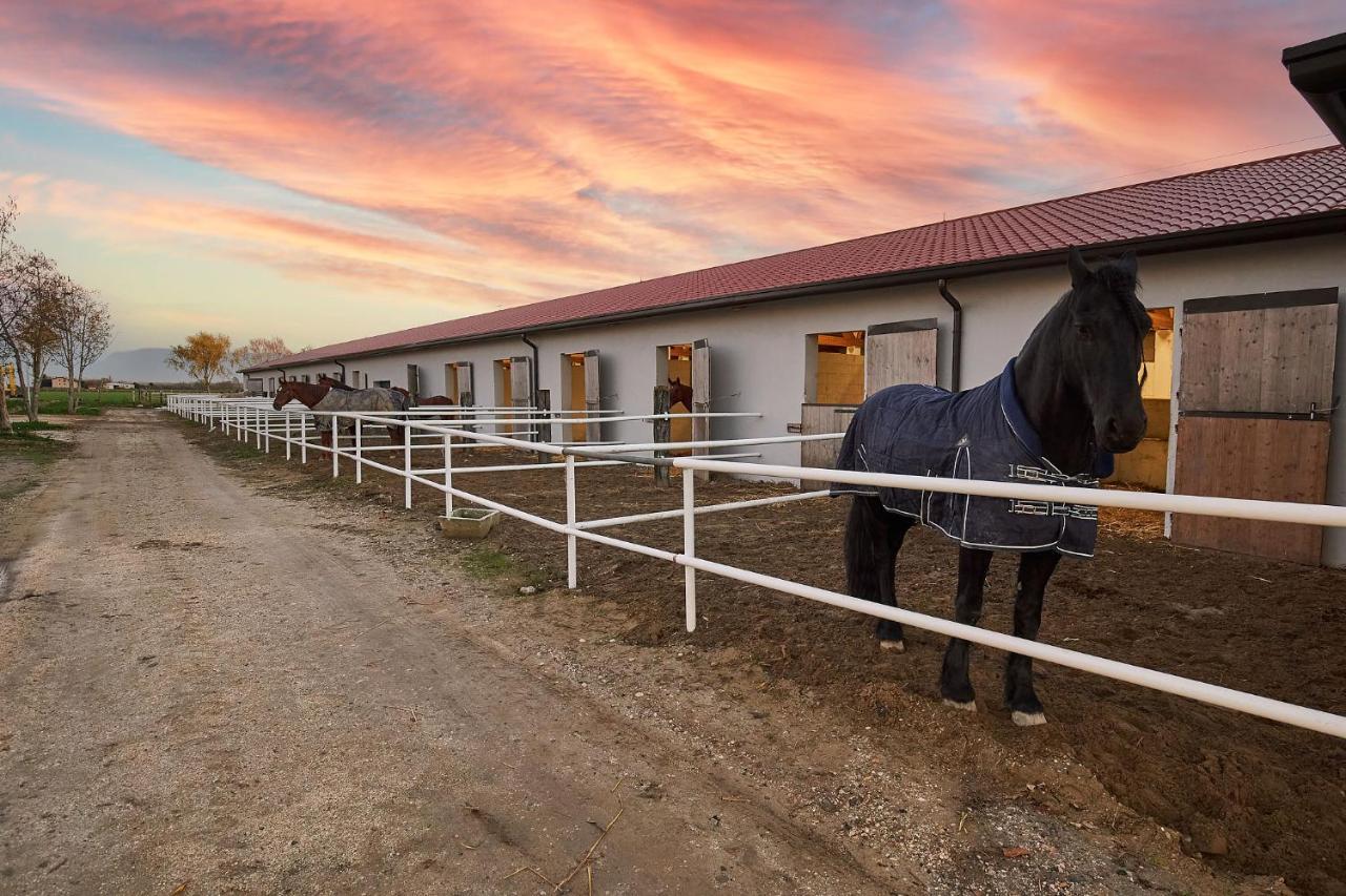 Brussa Horse Oasi Villa Caorle Exterior foto
