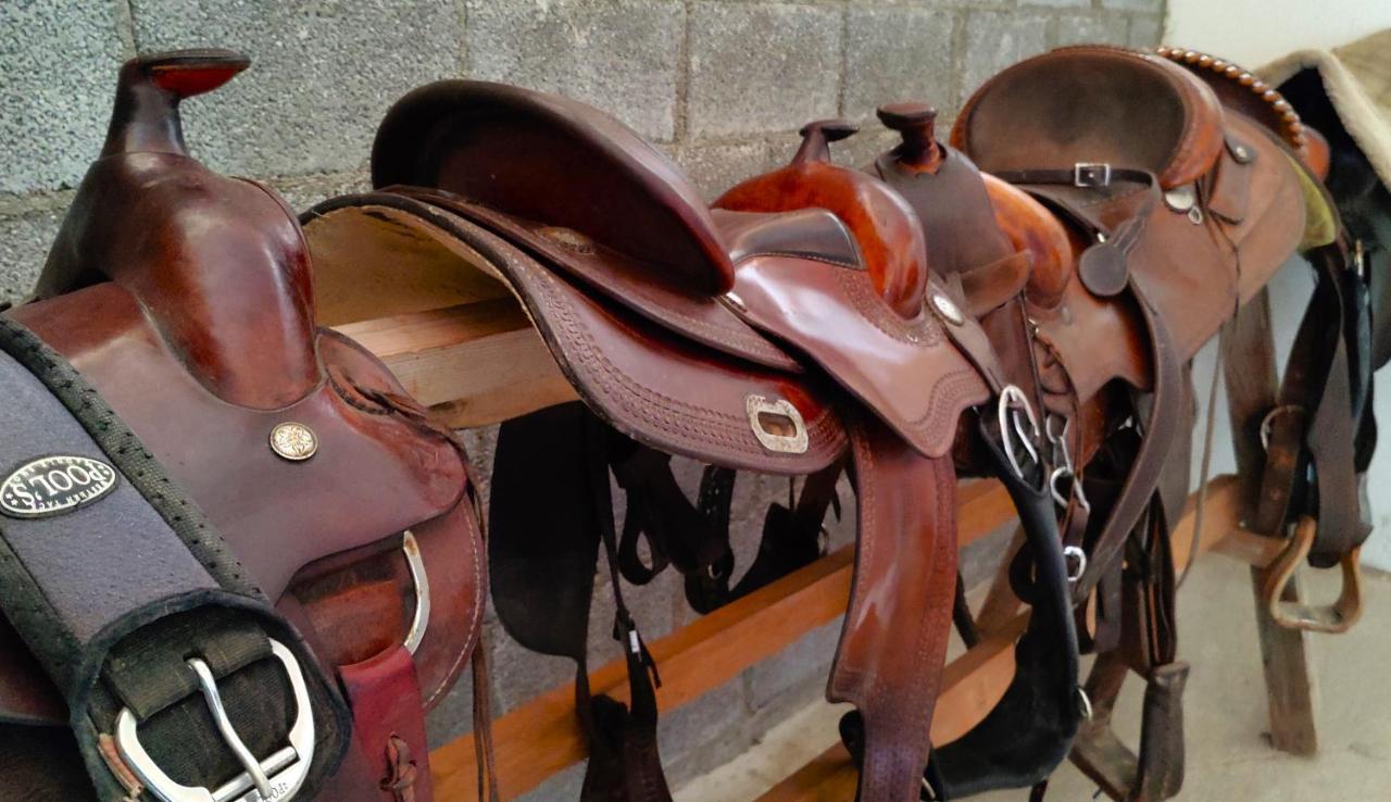 Brussa Horse Oasi Villa Caorle Exterior foto